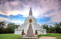 The Peace Stupa by Zoltan Duray