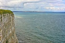 Bempton Cliffs by gscheffbuch