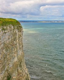 Bempton Cliffs von gscheffbuch