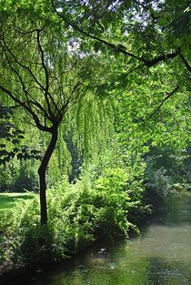 Spätsommer im Englischen Garten... 17 by loewenherz-artwork