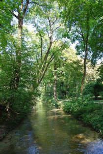 Spätsommer im Englischen Garten... 31 von loewenherz-artwork