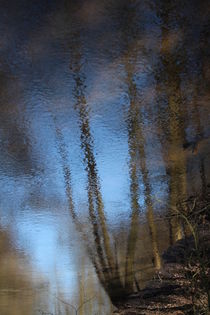 Wasserspiegelung in der Neetze von Simone Marsig