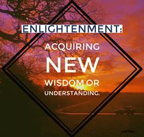 Enlightenment  von Vincent J. Newman