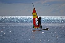 der Surfer... von loewenherz-artwork