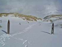 Winter am Meer... 3 von loewenherz-artwork