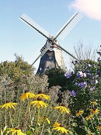 Windmühle... 3 von loewenherz-artwork