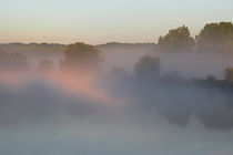 Lichtspiel im Nebel 2 von Bernhard Kaiser