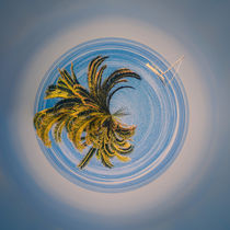 Little Planet lonely sailing boat - Kleiner Planet mit Segelboot von Silvia Eder