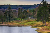 By the Lake by Vicki Field