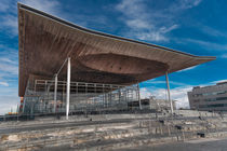 The Senedd von Leighton Collins