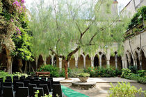 Sorrento, San Francesco cloister, place of civil marriage, wedding destination in Italy by Tania Lerro