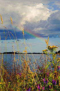 Es blüht unter dem Regenbogen by Thomas Matzl