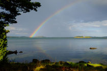 Under the rainbow von Thomas Matzl