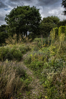 Autumn Pathway by Colin Metcalf