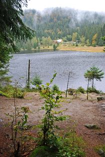 Kleiner Arbersee... 29 von loewenherz-artwork