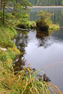 Kleiner Arbersee... 18 von loewenherz-artwork