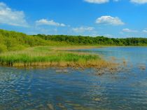 Kölpinsee von gscheffbuch