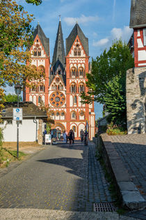 Limburger Dom 73 by Erhard Hess