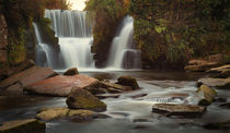 Autumn colours at Penllergare waterfalls by Leighton Collins