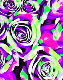 pink purple and green roses texture  von timla