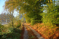 Herbstimpression by Bernhard Kaiser