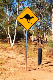 Kangaroo Sign von ann-foto