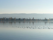 abendstimmung am bodensee von art2b