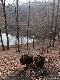 Wanderung um den Baasee von voelzis-augenblicke