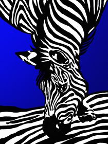 Zebra von Gabi Siebenhühner