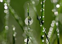 Reflektionen von Gabi Siebenhühner