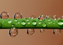 Wassertropfen von Gabi Siebenhühner