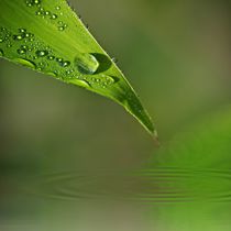 Wassertropfen von Gabi Siebenhühner