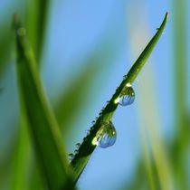 Wassertropfen von Gabi Siebenhühner