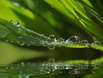 Wassertropfen von Gabi Siebenhühner