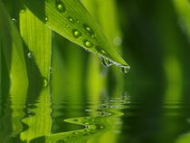 Wassertropfen von Gabi Siebenhühner