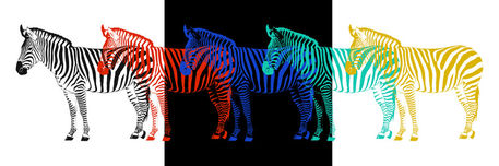 Zebra-pop-art-parade