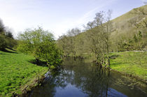 River Wye at Upperdale von Rod Johnson