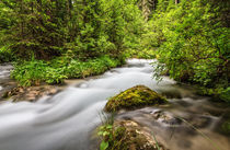 Avisio stream in Val di Fassa by Antonio Scarpi