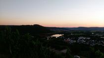 Vineyard in the Sunset of Moselle valley by Tobias Hust