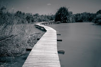 Path over water by Sharon Yanai