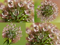 Tropfen Collage von Gabi Siebenhühner