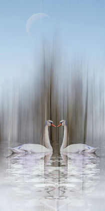 Winter in the Swan Lake - Winter im Schwanensee von Chris Berger