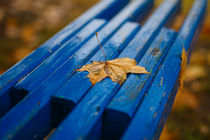 Autumn still life von Uladzislau Mihdalionak