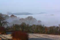 Morgennebel im Tal by sabiho