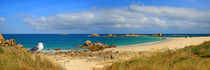 Wilde Küste der Bretagne in Panorama von Monika Juengling