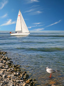 Segelboot und Möwe an der Küste by Monika Juengling