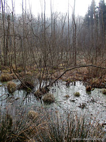 Ort der toten Seelen by voelzis-augenblicke