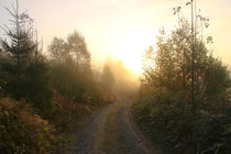 Ein Weg im Herbst by Bernhard Kaiser