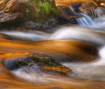 Fast Water  by Susanne  Mauz