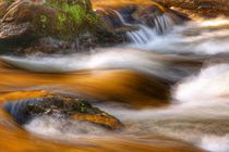 Golden Water by Susanne  Mauz